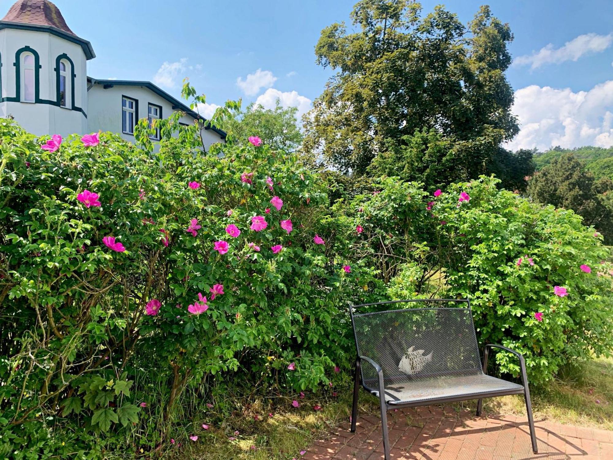 Ferienhaus Erika Heringsdorf  Luaran gambar